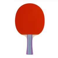 乒乓球拍 直板
