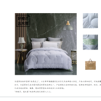 DH悠然负离子羽丝绒被第二代