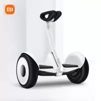 小米(mi) 九号平衡车 小九 体感智能骑行 遥控漂移成人电动车 双电机驱动 超长续航
