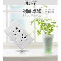 德力西 墙壁插座 CD821系列 118型 二位 10A 220V(个)