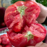 天生好果 普罗旺斯西红柿 新鲜蔬菜番茄 健康轻食 配送2KG装