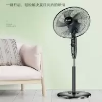 5叶强风,风强音静