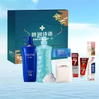 资生堂日化套装258C型