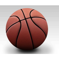 REELIFE FITNESS 篮球TF传奇金色经典赛事室内外7号标准篮球PU皮耐磨