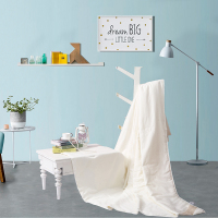 水星(MERCURY) DH凯尔蚕丝被 200*230cm