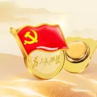 标准款党徽胸章 磁扣党员徽章 为人民服务胸针 磁铁扣式10个装 (SL)单位:包