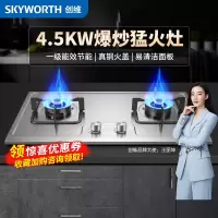 创维(Skyworth)燃气灶双灶 液化气灶双灶具4.5KW家用猛火灶台 不锈钢面板台嵌两用点火即燃 Z39