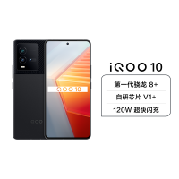 iQOO 10 5G新品 8+256G 赛道版 第一代骁龙8+ 增强版LPDDR5 自研芯片V1+ 120W超快闪充 屏下双控压感 立体双扬声器 E5超视网膜屏