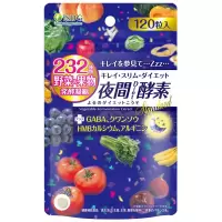 日本ISDG 232夜间酵素120粒 单袋装