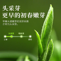 蒙茶仙子 仙子 2022新茶一杯香明前毛尖茶2罐共250g礼盒装茶叶绿茶春茶浓香型散装茗茶 (SL)单位:罐