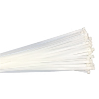 施兹坦30公分扎带束线带卡扣 单位:扎