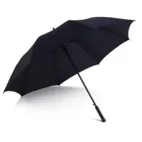天堂伞13024E自动雨伞长柄直杆防水雨伞蓝色黑色