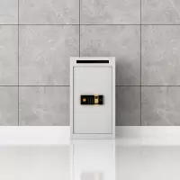臻远 ZY-DXG-02 文件待销柜密纸回收箱 指纹锁 500*450*900