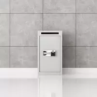 臻远 ZY-DXG-08 文件待销柜密纸回收箱 国保指纹锁 500*550*750