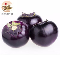天生好果紫圆茄简装 新鲜蔬菜2KG配送