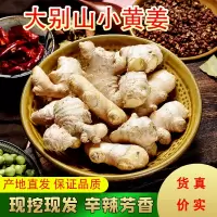 3斤装大别山小黄姜新鲜生姜老姜现挖高山老姜土姜月子姜蔬菜