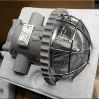 隔爆型LED巷道灯 12w ExdⅠMb