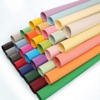 ZEBRA-彩色卡纸 A1 100张/包 单包装