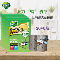 绿叶苍蝇贴 30片装
