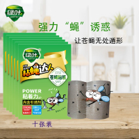 绿叶苍蝇贴 10片装