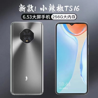 小辣椒TS16全网通4G 苍叶灰 6+128GB 学生价游戏智能手机大内存指纹解锁全面屏超长待机百元备用老人机