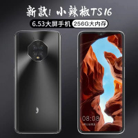小辣椒TS16全网通4G玄采黑6+128GB 学生价游戏智能手机大内存指纹解锁全面屏超长待机百元备用老人机