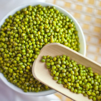 九梵山 五谷杂粮新鲜粗粮绿豆500g