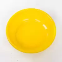 茶花(CHAHUA) 塑料脸盆 大号 单个价