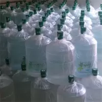 大苗山泉天然山泉饮用桶装水12L 单位:桶