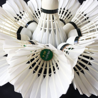 schoolchild AC4 羽毛球