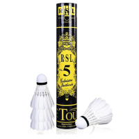 schoolchild 羽毛球日常训练稳定耐打RSL5号77速