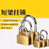户外防水防锈挂锁锁具20mm 10把
