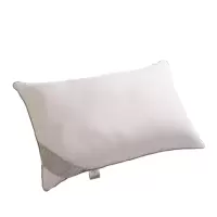 水星家纺 枕头成人睡眠学生枕头枕芯DH沁新净醛抗菌枕 单个