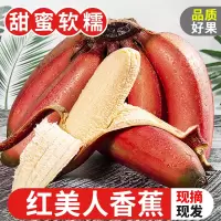 福建漳州土楼红美人香蕉新鲜5斤当季水果小香焦红皮芭蕉米蕉应整箱应季时令水果新鲜网红孕妇水果