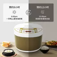 创维5L电饭煲F62