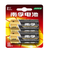 南孚(NANFU) 南孚 电池 1号 大号