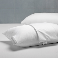 庄杰(ZHUANGJIE)枕套