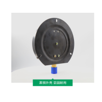 上海仪川仪表厂(SYCIF) YN60T 1.5 0-60MPa M14×1.5 耐震压力表