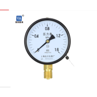 上海仪川仪表厂(SYCIF) YN100Z 1.6 0-4MPa M20×1.5 耐震压力表