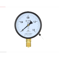 上海仪川仪表厂(SYCIF) YN100T 1.6 0-60MPa M20×1.5 耐震压力表
