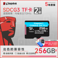 SDCG3/256GB(蓝卡)2个