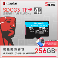 SDCG3/256GB(蓝卡)4个实惠