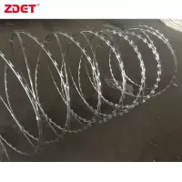 ZDET 热镀锌刺丝 防盗网配2拉丝(仅供温州)(m)