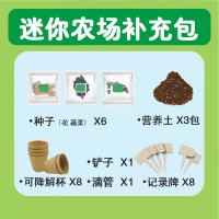 乐缔阳光种植房儿童种菜植物观察盒玩具科学小实验女孩手工diy材料[阳光补充包]