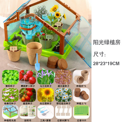 乐缔阳光种植房儿童种菜植物观察盒玩具科学小实验女孩手工diy材料[阳光种植房-基础款]