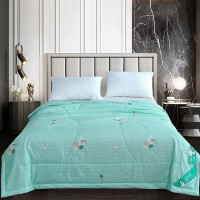 aurora 薄荷清凉蚕丝被 薄荷清凉蚕丝被 200*230