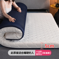 洁丽雅床垫床褥子乳胶软垫学生宿舍单人家用睡垫床单防滑租房专用