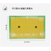 绿叶 GL02145新世纪精装粘鼠板强力胶粘4片装