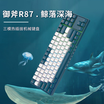 御斧 (Royal Axe) R87三模机械键盘 无线蓝牙 热插拔 游戏办公键盘 PBT球帽 TTC金粉轴V2 鲸落深海