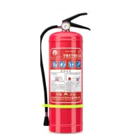 DP 洪湖 干粉灭火器5公斤 MFZ/ABC5 53*14